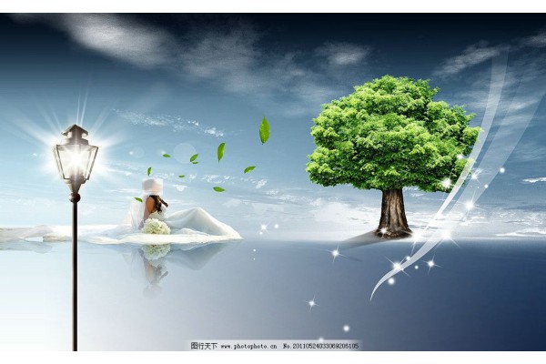 武汉职院茶香溢,养生生活共品茗 武汉职院茶香溢,养生生活共品茗