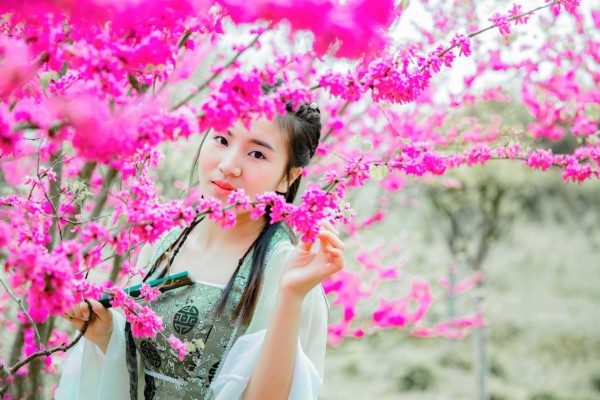 赏武汉美景，品茗好时光，露营好地方推荐！